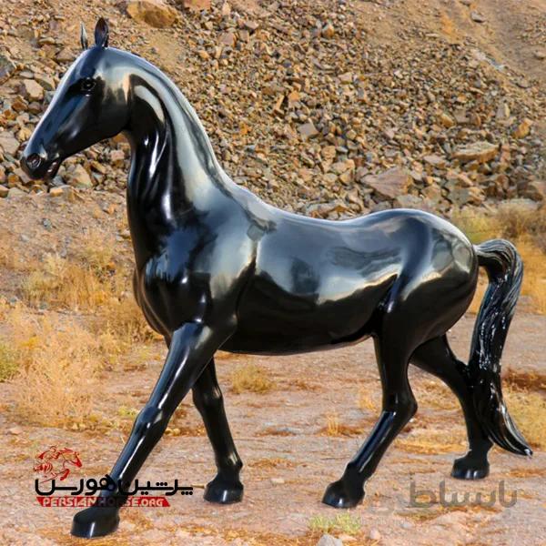 ماکت اسب پیتکو اندازه ی واقعی