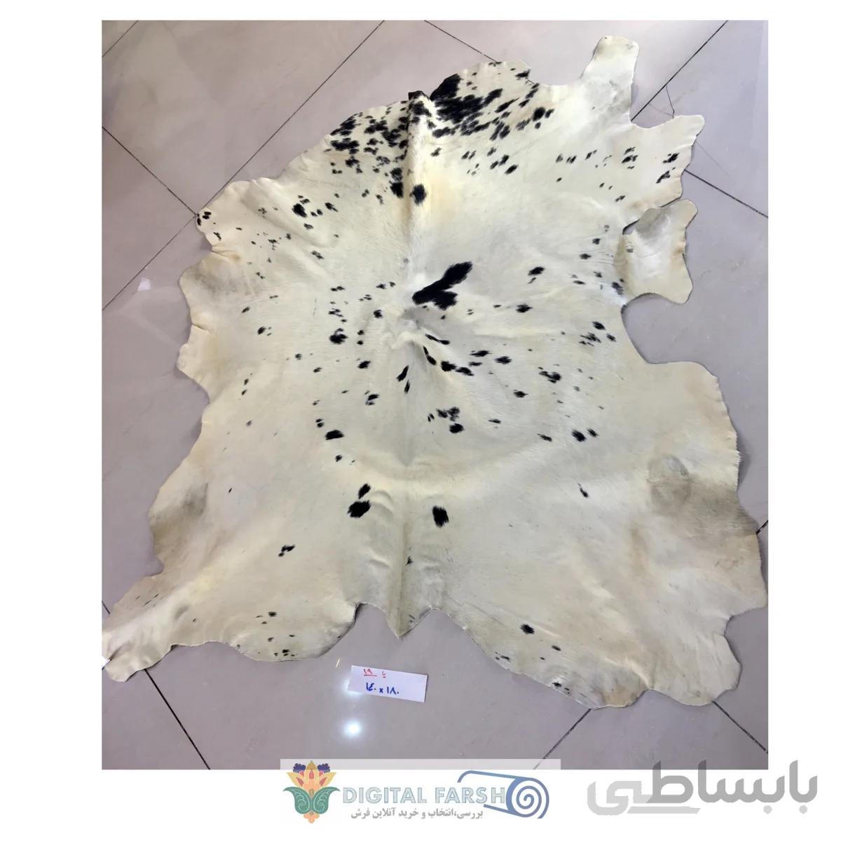 پوست طبیعی گاو تزنیِِینی 19 پا ا cow skin
