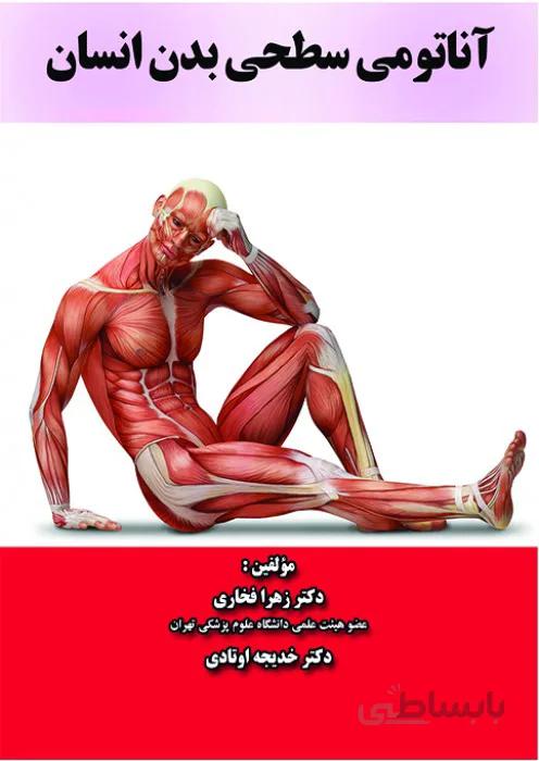 آناتومی سطحی بدن انسان