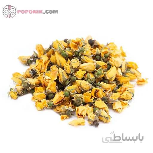 غنچه نسترن زرد