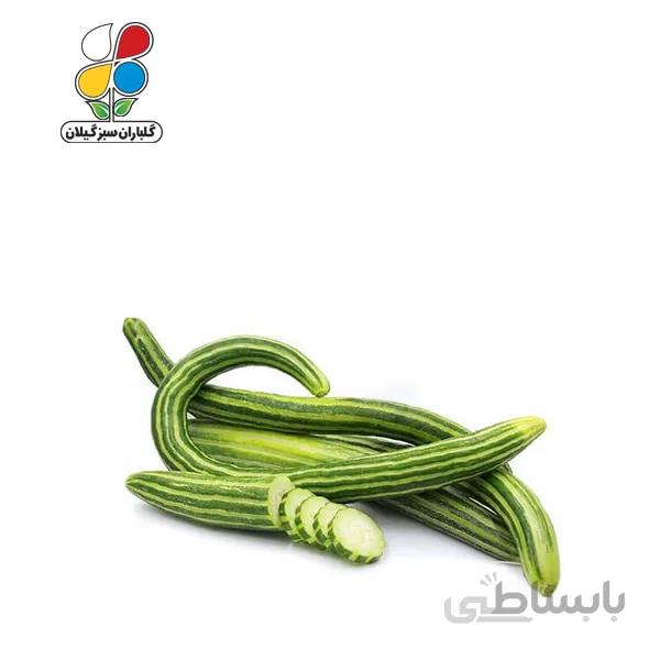 بذر خیار چنبر بسته بندی بزرگ مدل GPSS7L