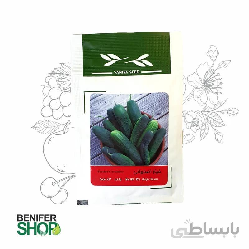 بذر خانگی خیار اصفهانی