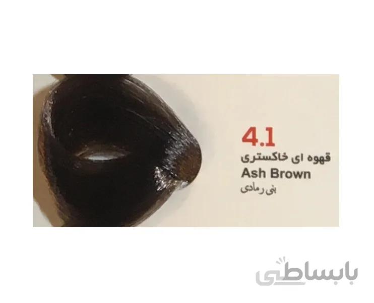 رنگ مو ویانا (Viana) قهوه ای خاکستری (شماره 4/1 خاکستری) حجم 100 میل