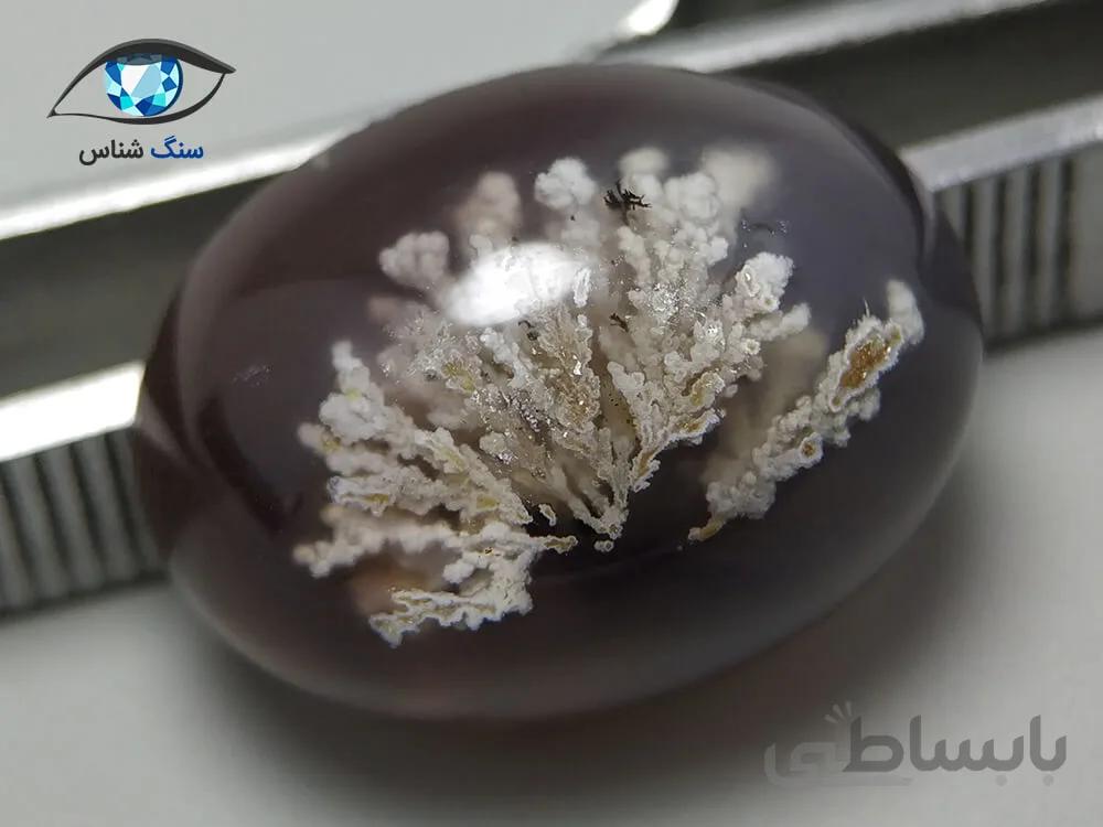 شجر شکوفه سفید بیضی 7 گرم