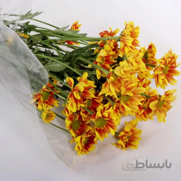 دسته گل داوودی