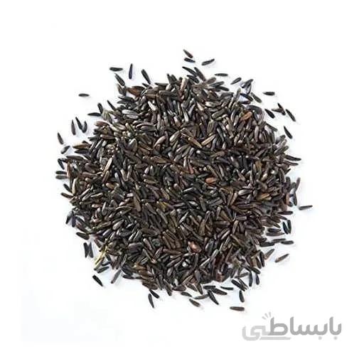 بذر دان سیاه