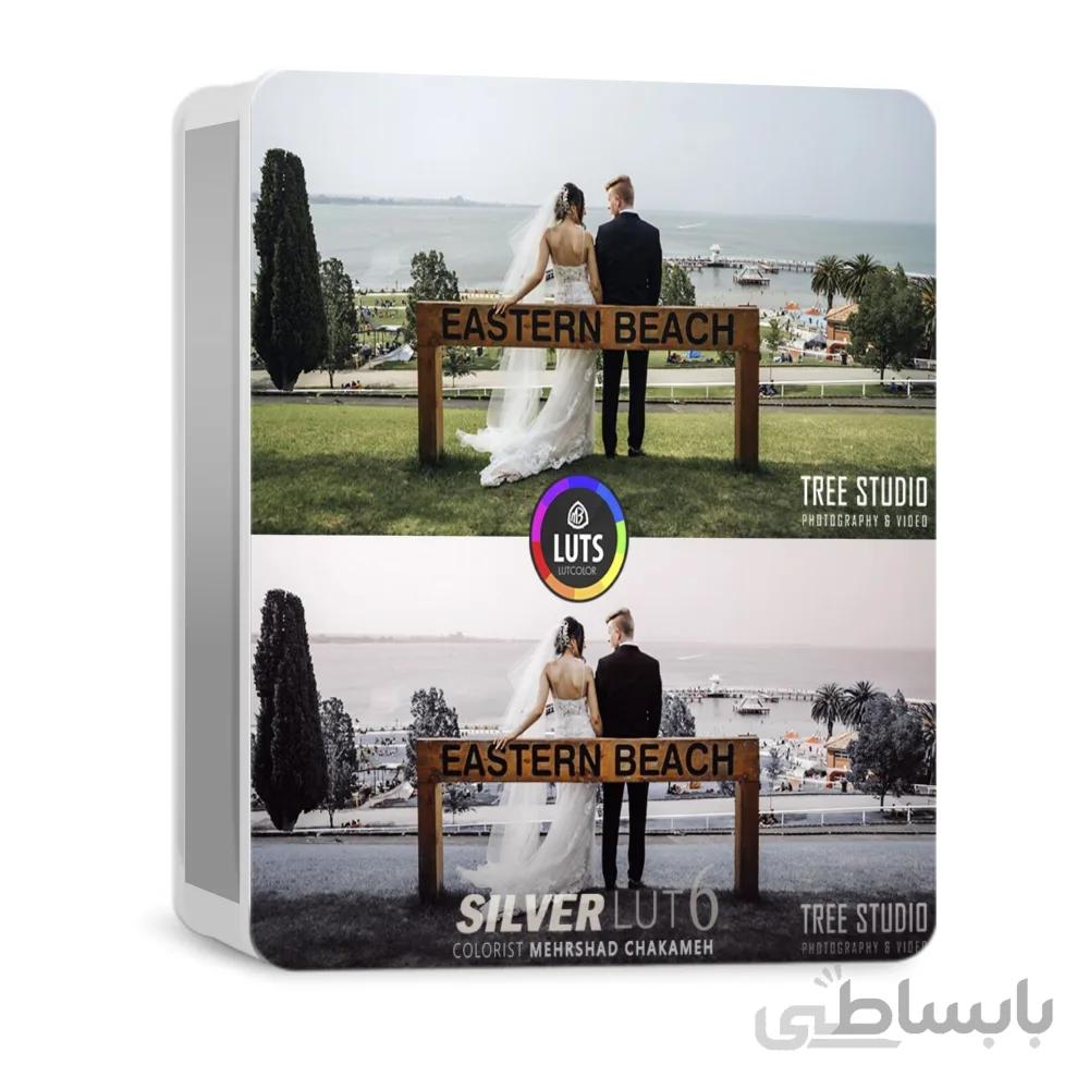 رنگ سینمایی M3 Silver LUT 6