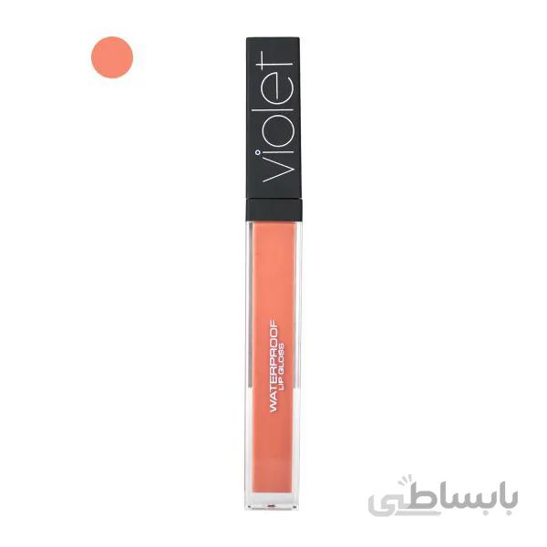 رژلب مایع ضدآب ویولت Violet شماره ۱۱۱