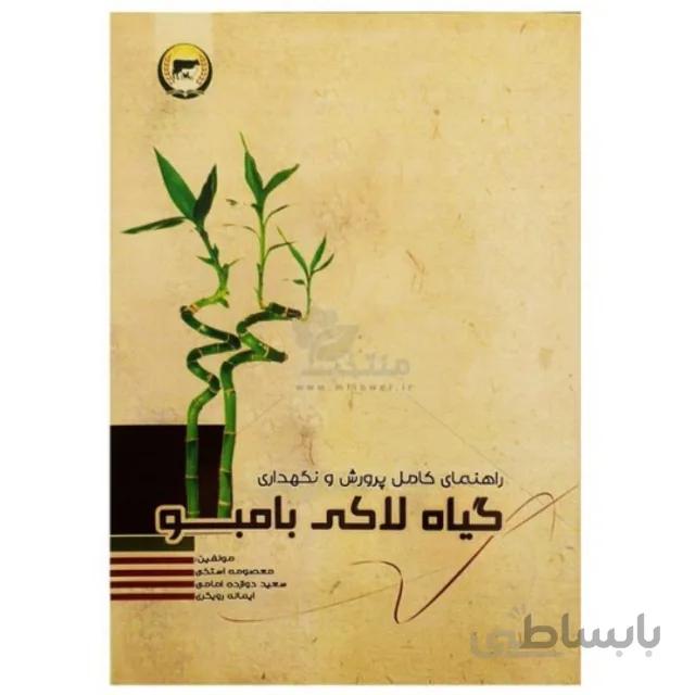 کتاب گیاه لاکی بامبو