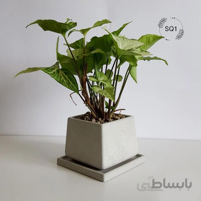 گلدان بتنی بزرگ کد SQ1