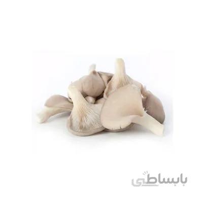 بذر قارچ صدفی (۱ کیلوگرم)