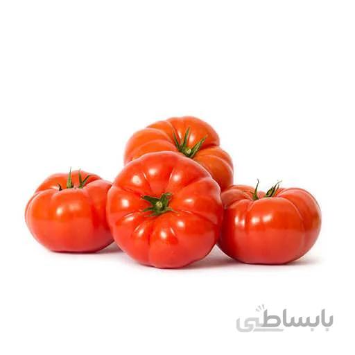 بذر گوجه فرنگی سایز بسیار بزرگ