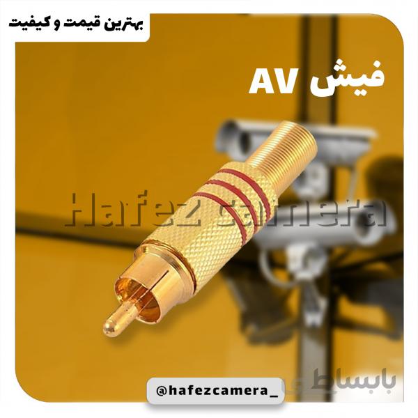 فیش AV