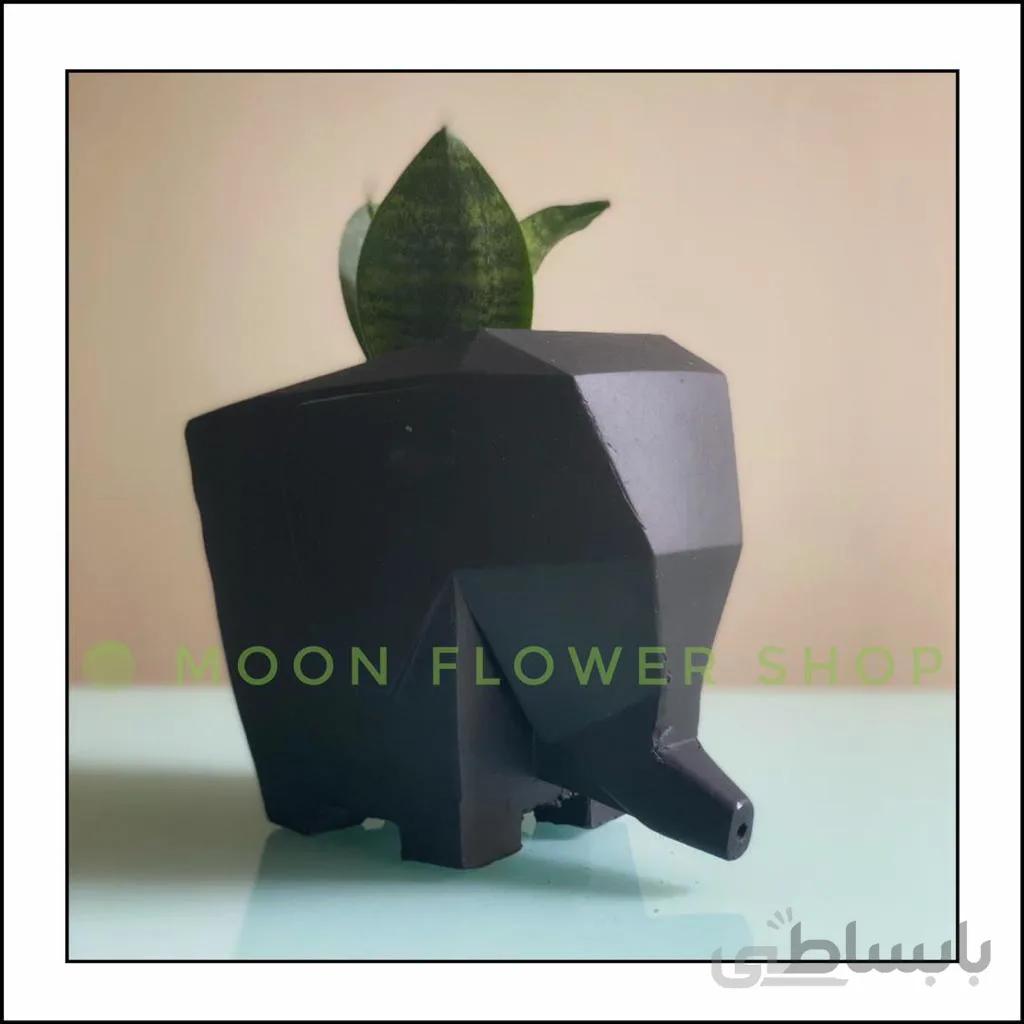 گل سانسوریا پاکوتاه سبز همراه با گلدان بتنی طرح فیل ا Sanseveria with concrete vase