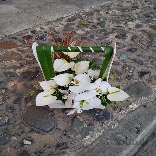 باکس چوبی