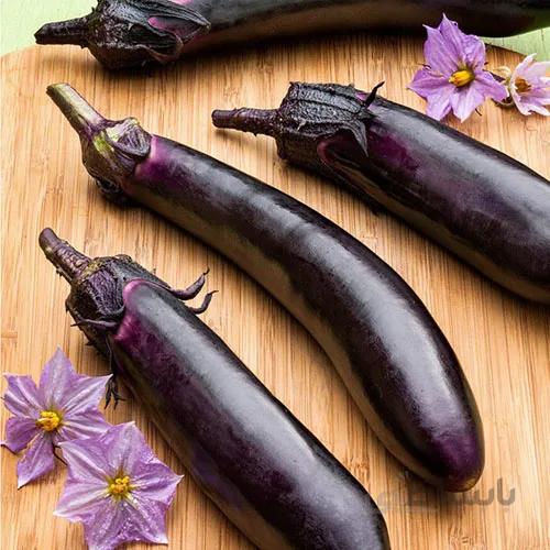 بذر بادمجان ژاپنی