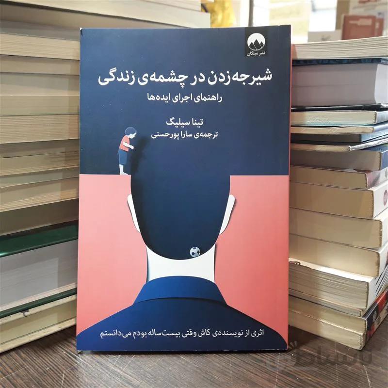 کتاب شیرجه زدن در چشمه زندگی اثر تینا سیلیگ