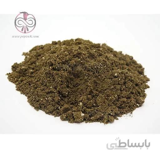 کود زیست پایا مایکوریزا