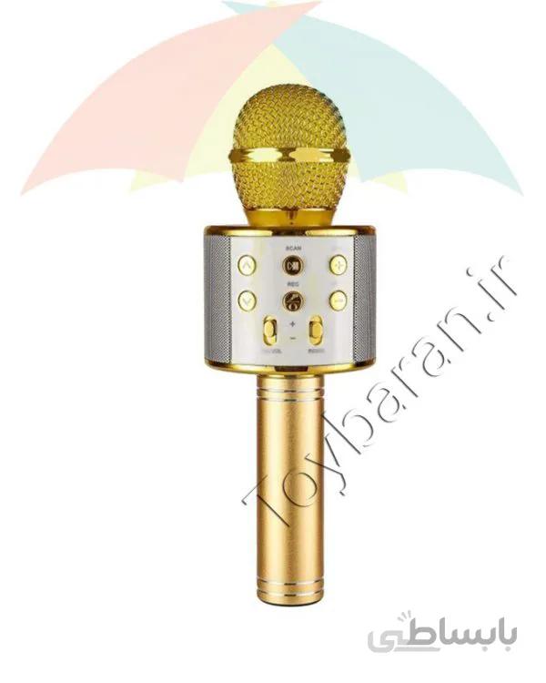 میکروفون حرفه ای شارژی