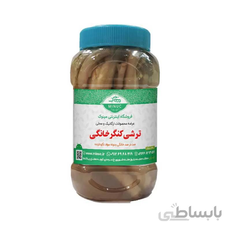 ترشی کنگر خانگی ۱ کیلویی