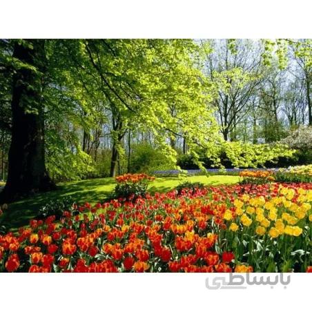 نخ و نقشه تابلو فرش طبیعت کد 93
