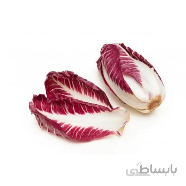 بذر گیاه کاسنی