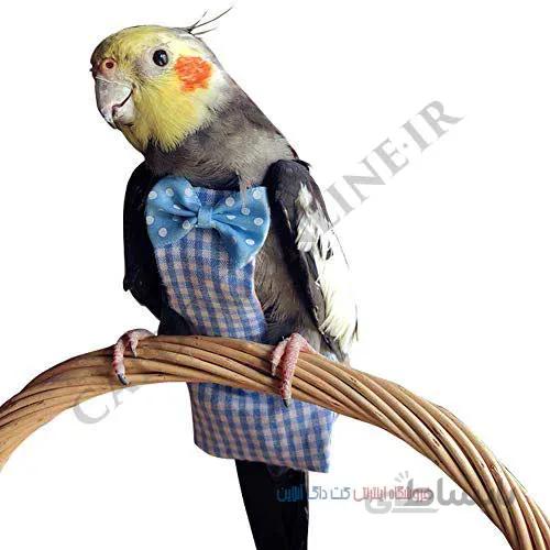 پوشک پرنده