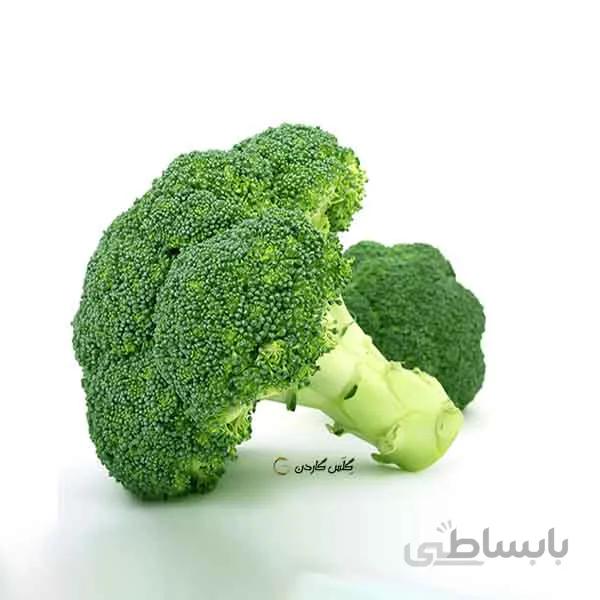 بذر کلم بروکلی