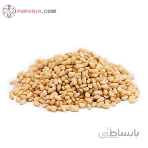 مغز چلغوز