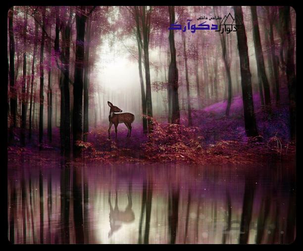 پوسترحیوانات026