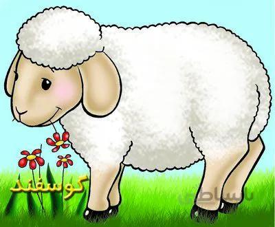 گوسفند (حیوانات مزرعه)