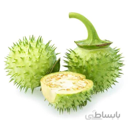 بذر تاتوره ارغوانی
