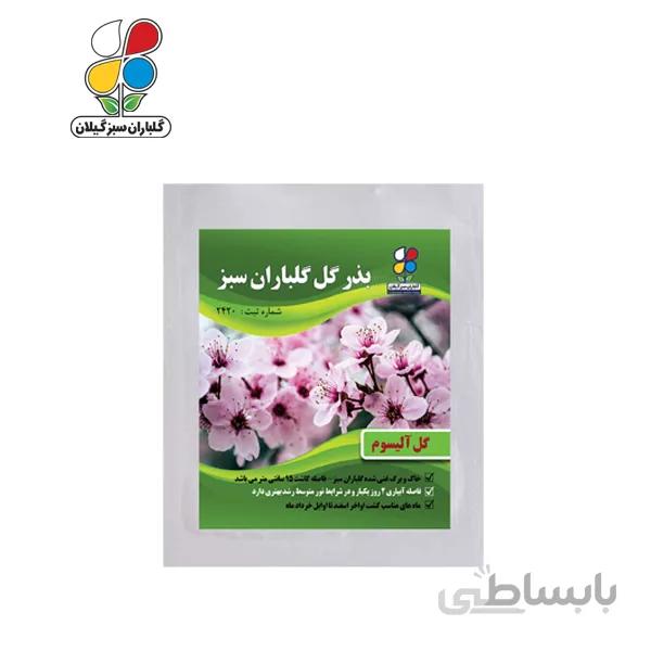 بذر گل آلیسوم بسته بندی کوچک مدل GPSF7S
