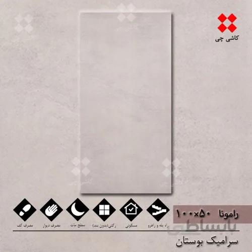 رامونا خاکستری 50×100 مات درجه 1