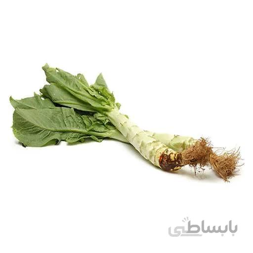 بذر کاهو سالاد مارچوبه روسی