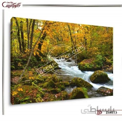 تابلو دکوراتیو طبیعت 8073 ا Nature decorative paintings 8073