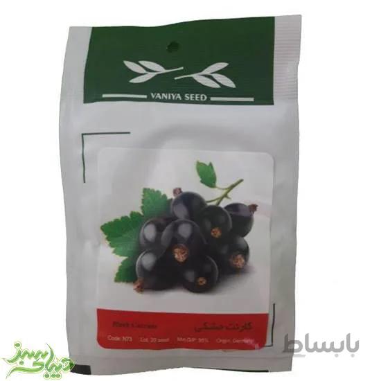 بذر کارنت مشکی