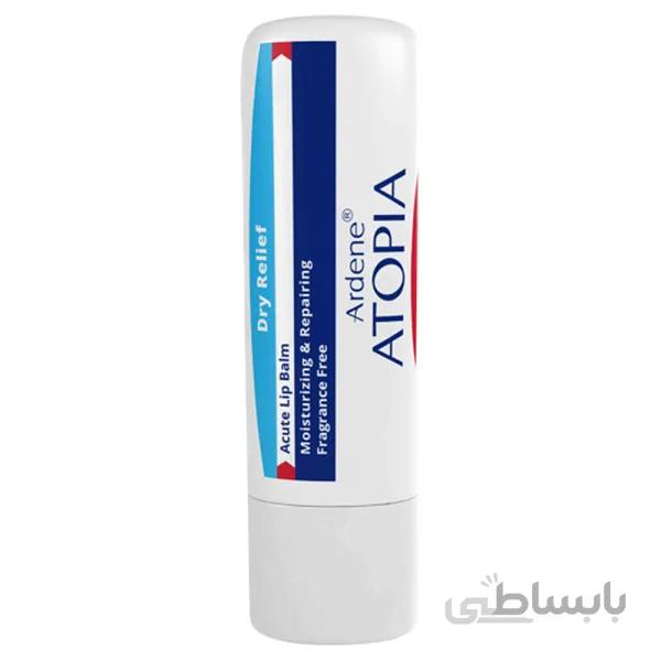استیک مرطوب کننده و ترمیم کننده لب اردن سری اتوپیا مدل Dry Relief