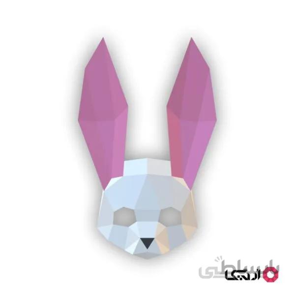 ماسک صورت بانی
