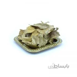 برگ گردو