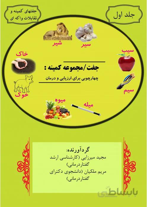 جفت/مجموعه کمینه:چهارچوبی برای ارزیابی و درمان (جفتهای کمینه و تقابلات واکه ای) (جلد 1)