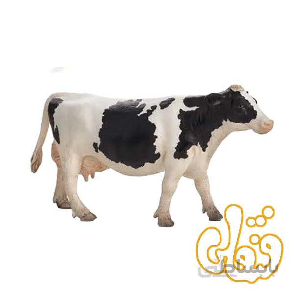گاو شیرده سفید و سیاه هلشتاین Holstein Cow 387062