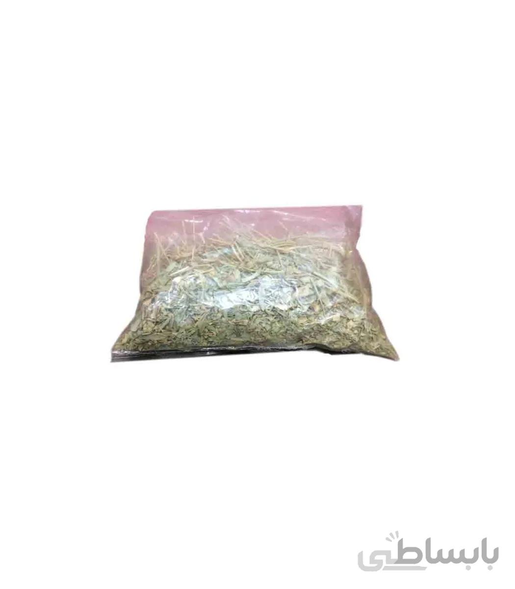 آبزن