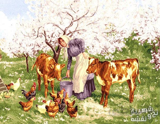 نخ و نقشه طرح گاو و مرغ های زن روستایی 1652