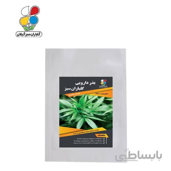 ( بسته 24 عددی ) بذر شاهدانه بسته بندی بزرگ
