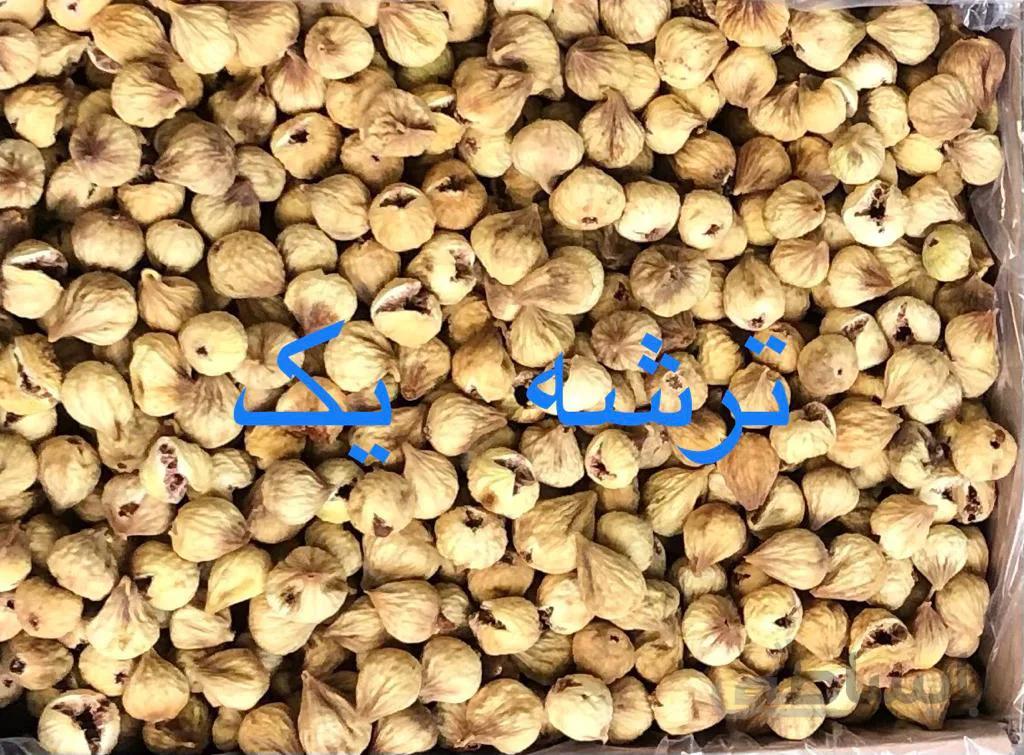 انجیر ترشه یک
