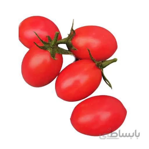 بذر گوجه فرنگی پومودورو