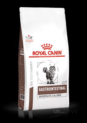 غذای خشک مخصوص گربه های بالغ Royal canin مدل Gastro Intestinal مناسب برای رفع مشکلات دستگاه گوارش - 2 کیلوگرم