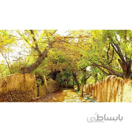 نخ و نقشه تابلو فرش طبیعت کد 7 طرح کوچه باغ با صفا