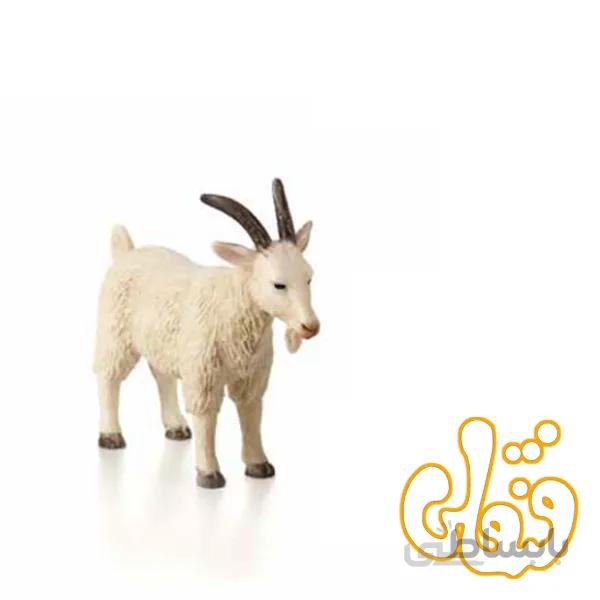بز نر Billy Goat 387077